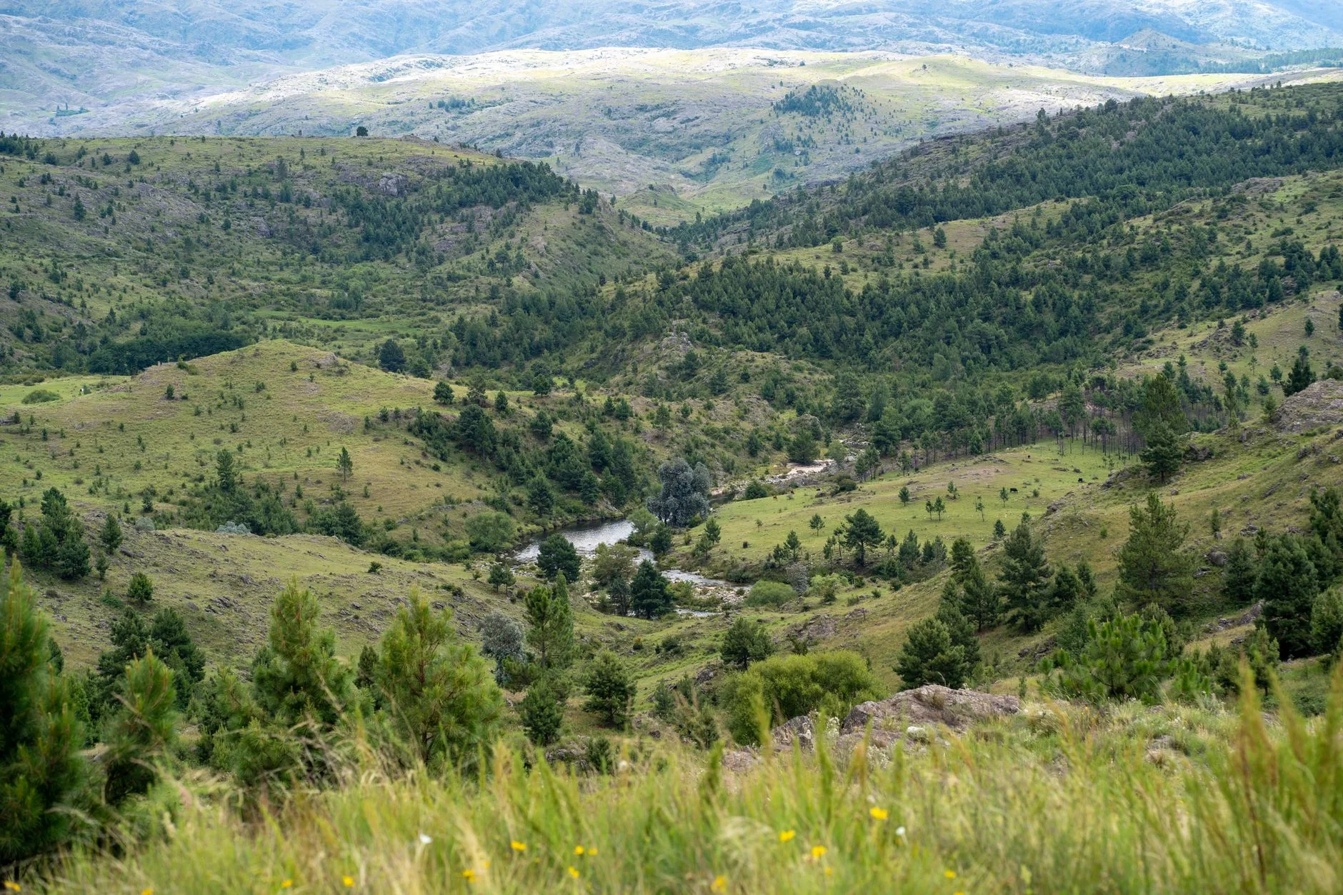 Les sierras de Córdoba : nature et villages à explorer