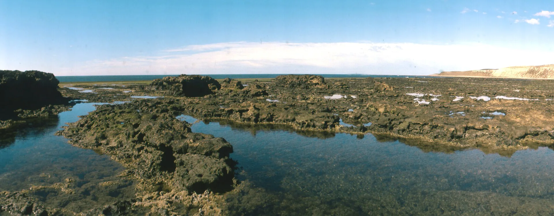 Côte de la péninsule Valdés, sur la côte atlantique argentine